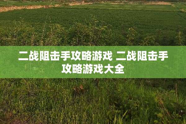 二战阻击手攻略游戏 二战阻击手攻略游戏大全