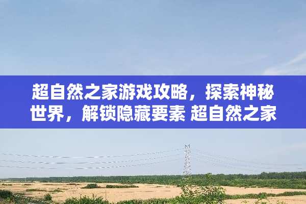 超自然之家游戏攻略，探索神秘世界，解锁隐藏要素 超自然之家游戏攻略