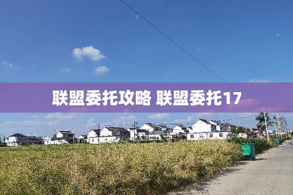 联盟委托攻略 联盟委托17