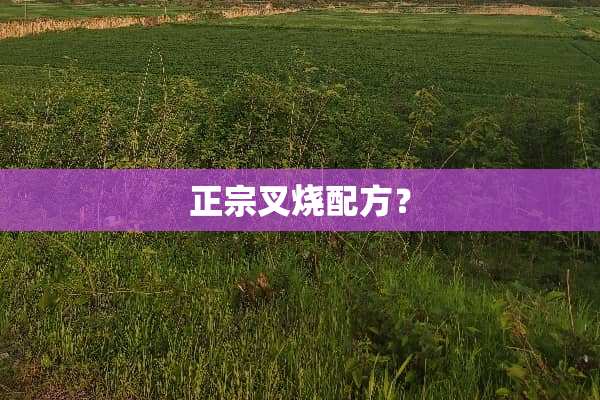 正宗叉烧配方？