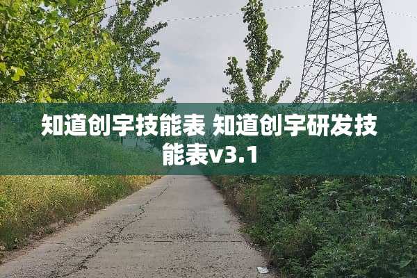 知道创宇技能表 知道创宇研发技能表v3.1