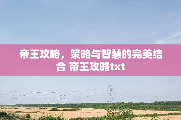 帝王攻略，策略与智慧的完美结合 帝王攻略txt