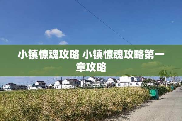 小镇惊魂攻略 小镇惊魂攻略第一章攻略