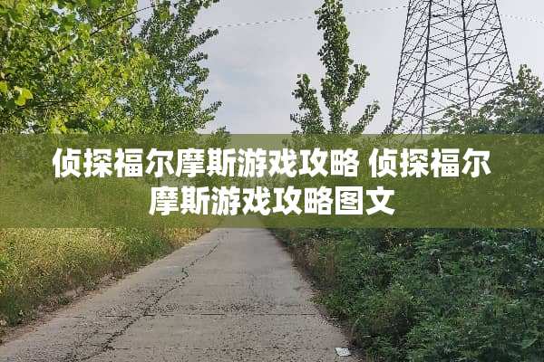 侦探福尔摩斯游戏攻略 侦探福尔摩斯游戏攻略图文