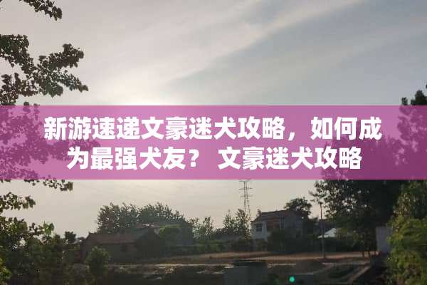 新游速递文豪迷犬攻略，如何成为最强犬友？ 文豪迷犬攻略