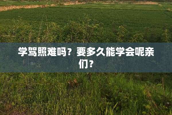 学驾照难吗？要多久能学会呢亲们？