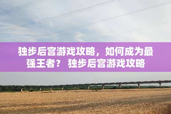 独步后宫游戏攻略，如何成为最强王者？ 独步后宫游戏攻略