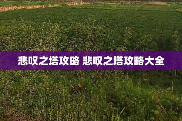 悲叹之塔攻略 悲叹之塔攻略大全