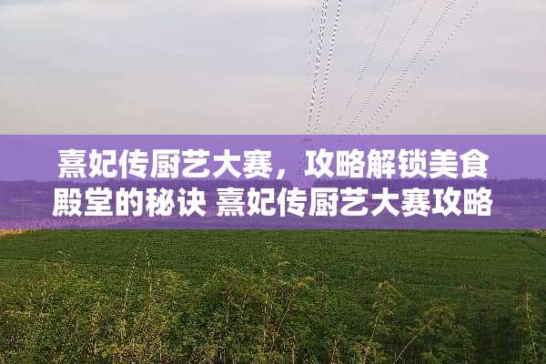 熹妃传厨艺大赛，攻略解锁美食殿堂的秘诀 熹妃传厨艺大赛攻略