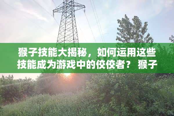 猴子技能大揭秘，如何运用这些技能成为游戏中的佼佼者？ 猴子技能介绍