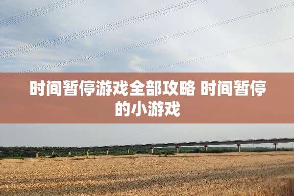 时间暂停游戏全部攻略 时间暂停的小游戏