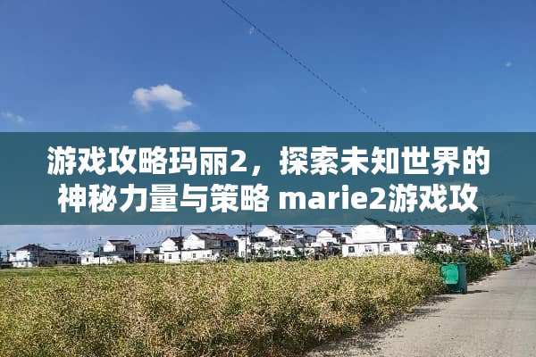 游戏攻略玛丽2，探索未知世界的神秘力量与策略 marie2游戏攻略