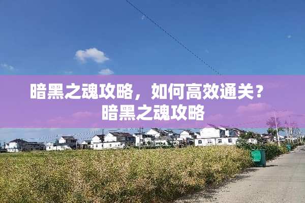 暗黑之魂攻略，如何高效通关？ 暗黑之魂攻略