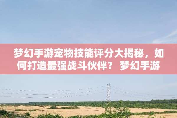 梦幻手游宠物技能评分大揭秘，如何打造最强战斗伙伴？ 梦幻手游宠物技能评分