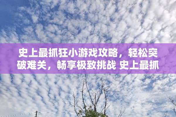 史上最抓狂小游戏攻略，轻松突破难关，畅享极致挑战 史上最抓狂小游戏攻略