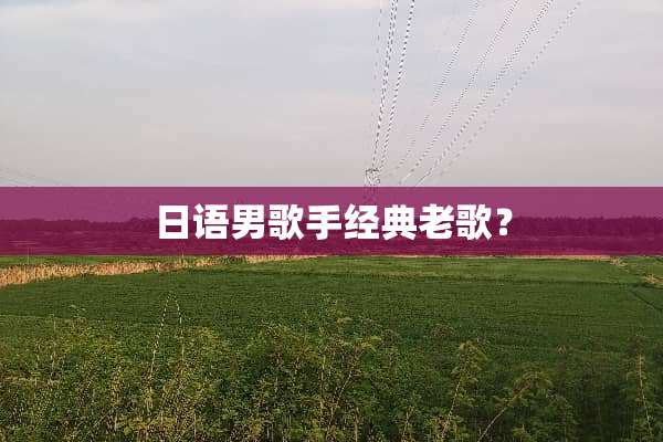 日语男歌手经典老歌？