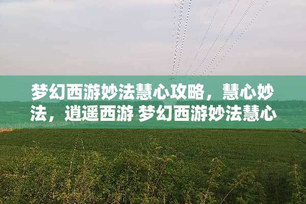梦幻西游妙法慧心攻略，慧心妙法，逍遥西游 梦幻西游妙法慧心攻略