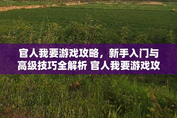 官人我要游戏攻略，新手入门与高级技巧全解析 官人我要游戏攻略
