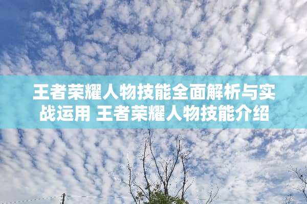 王者荣耀人物技能全面解析与实战运用 王者荣耀人物技能介绍