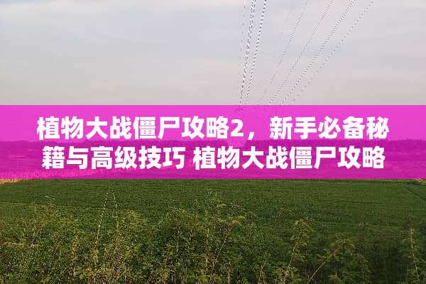 植物大战僵尸攻略2，新手必备秘籍与高级技巧 植物大战僵尸攻略2