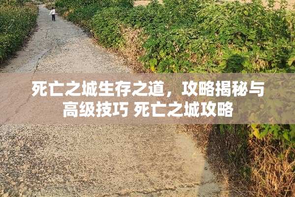 死亡之城生存之道，攻略揭秘与高级技巧 死亡之城攻略