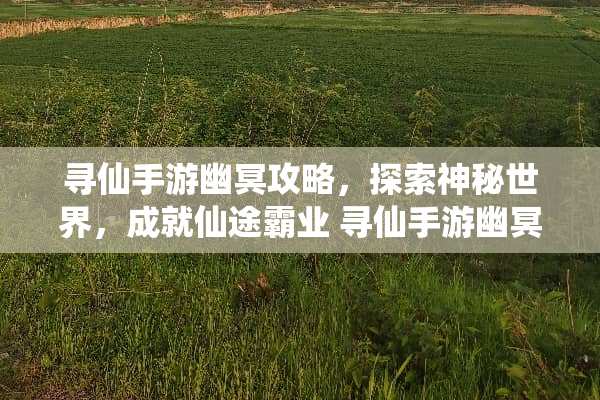 寻仙手游幽冥攻略，探索神秘世界，成就仙途霸业 寻仙手游幽冥攻略