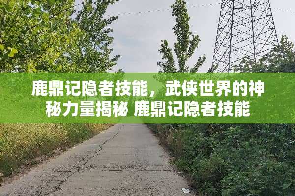 鹿鼎记隐者技能，武侠世界的神秘力量揭秘 鹿鼎记隐者技能