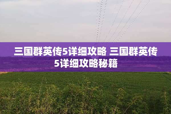三国群英传5详细攻略 三国群英传5详细攻略秘籍