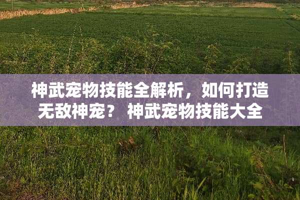 神武宠物技能全解析，如何打造无敌神宠？ 神武宠物技能大全