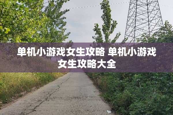 单机小游戏女生攻略 单机小游戏女生攻略大全