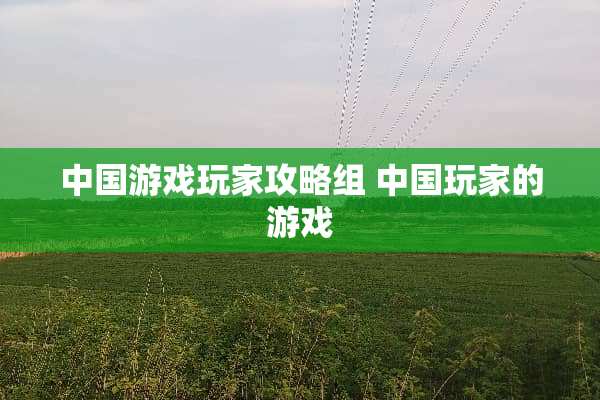 中国游戏玩家攻略组 中国玩家的游戏