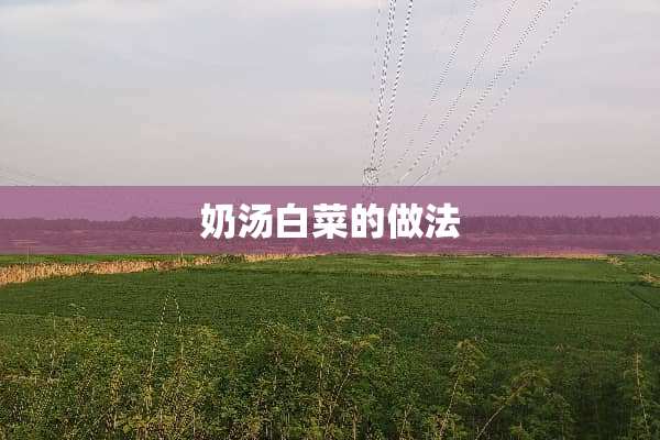 奶汤白菜的做法
