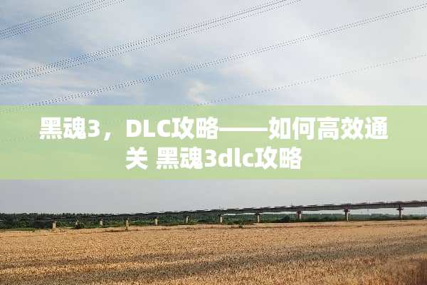 黑魂3，DLC攻略——如何高效通关 黑魂3dlc攻略