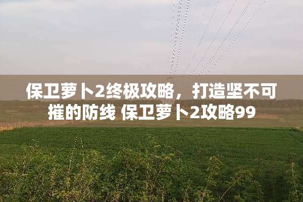 保卫萝卜2终极攻略，打造坚不可摧的防线 保卫萝卜2攻略99