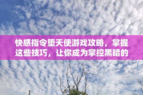 **指令堕天使游戏攻略，掌握这些技巧，让你成为掌控黑暗的王者 **指令堕天使游戏攻略
