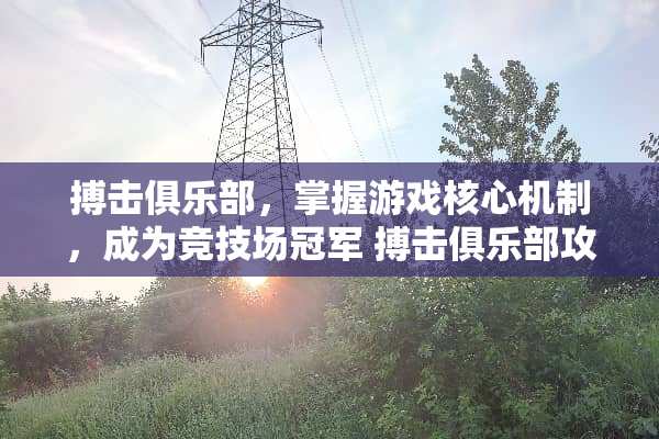 搏击俱乐部，掌握游戏核心机制，成为竞技场冠军 搏击俱乐部攻略游戏