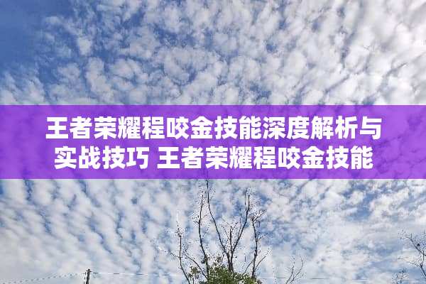 王者荣耀程咬金技能深度解析与实战技巧 王者荣耀程咬金技能