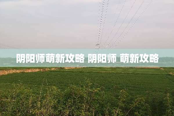 *阳师萌新攻略 *阳师 萌新攻略