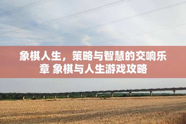 象棋人生，策略与智慧的交响乐章 象棋与人生游戏攻略