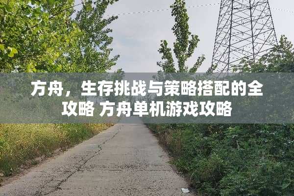 方舟，生存挑战与策略搭配的全攻略 方舟单机游戏攻略