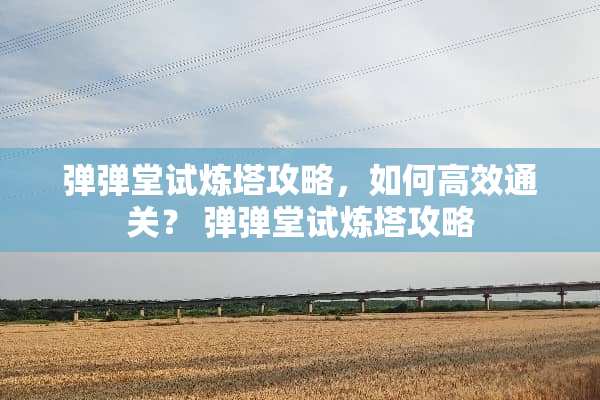 弹弹堂试炼塔攻略，如何高效通关？ 弹弹堂试炼塔攻略