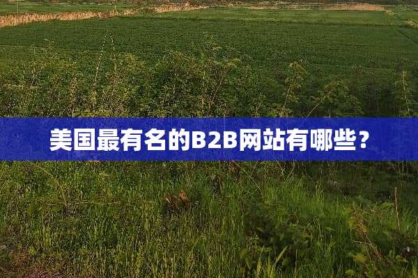 美国最有名的B2B网站有哪些？