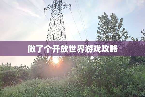 做了个开放世界游戏攻略
