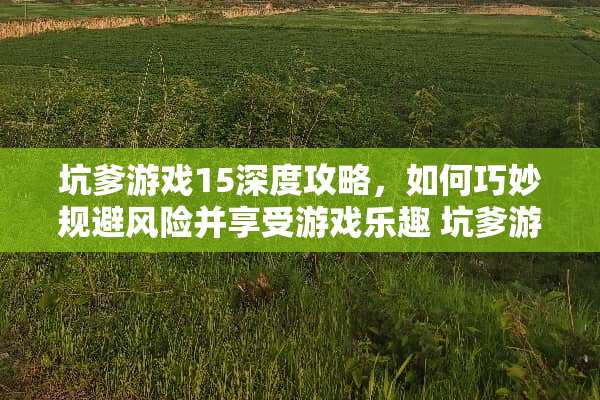 坑爹游戏15深度攻略，如何巧妙规避风险并享受游戏乐趣 坑爹游戏15的攻略