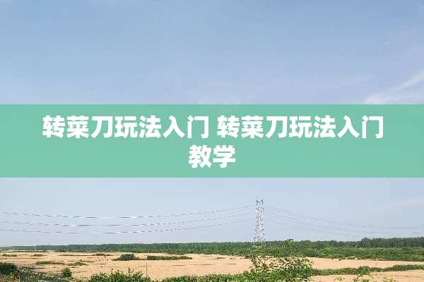 转菜刀玩法入门 转菜刀玩法入门教学