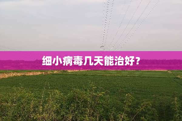 细小病毒几天能治好？