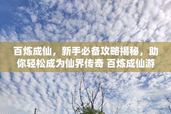 百炼成仙，新手必备攻略揭秘，助你轻松成为仙界传奇 百炼成仙游戏攻略