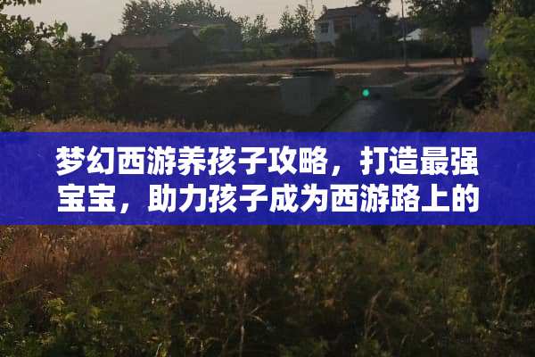 梦幻西游养孩子攻略，打造最强宝宝，助力孩子成为西游路上的佼佼者 梦幻西游养孩子攻略