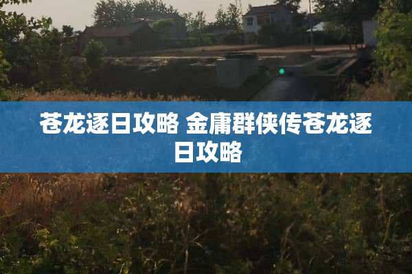 苍龙逐日攻略 金庸群侠传苍龙逐日攻略