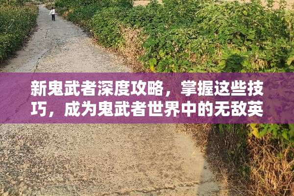 新鬼武者深度攻略，掌握这些技巧，成为鬼武者世界中的无敌英雄 新鬼武者攻略